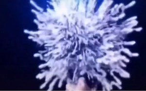 [Shaggy SUSU] Silver Wolf (Honkai: Star Rail) [Chinese, Japanese]