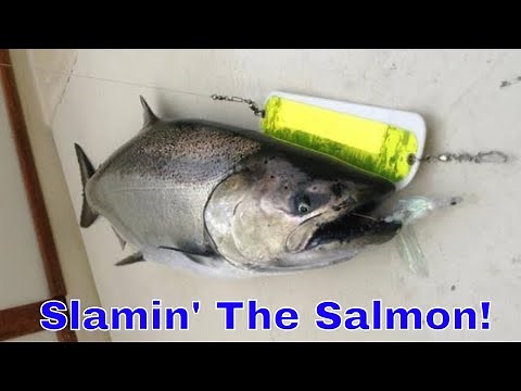 Flasher Fly Basics - A Simple Approach to Catching Salmon and Trout