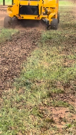 1.9K views · 181 reactions | Perry Georgia pecan harvest is in full swing ! - STRONG ON PARTS AND SERVICE! - #omc #omcshaker #myjobdependsonag #weshaketheworld #thebest #farm #farming #harvest #almonds #pistachios #pecans #walnuts #shaker #prunes #fast #ranch #insta #food #health #quality #performance #value #service #harvest | Orchard Machinery Corporation - OMC | Facebook