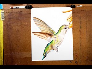 Drawing A Hummingbird With Colored Pencils - How To