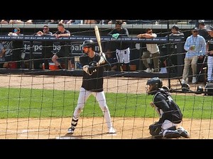 Yankees Spring Training 2026 - Open Practice