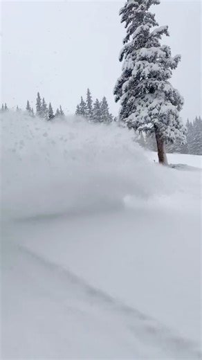 Copper Mountain on Instagram: "The storm rolled in early this mornin’, dumping snow from the moment the lifts started spinnin’ ❄️ ALSO Timberline Express is now open for business — get your laps in while they’re fresh!!🦖"