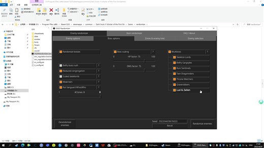 【黑暗之魂2】全随机MOD使用说明