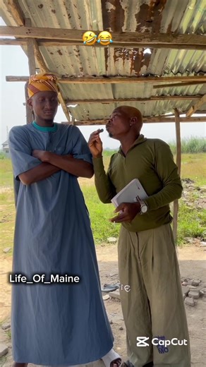 Discover the Life of Maine through Humor