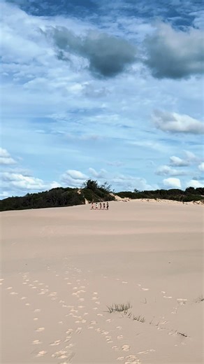 Walk Like an Egyptian Dance Guide