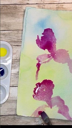 Fluid and colourful irises in acrylic ink