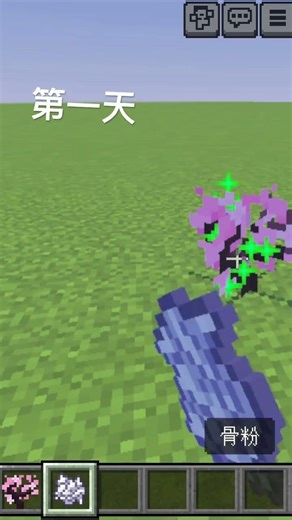 每日種一棵樹