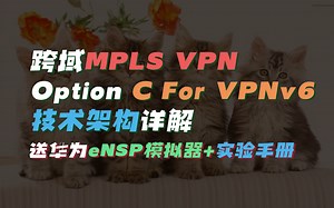 思科CCIE实战技术课程！跨域MPLS VPN Option C For VPNv6技术架构详解【送实验手册 模拟器】网络工程师CCIE/CCNP/HCIE