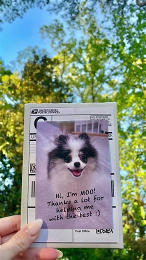 Sometimes it’s the smallest things that make the biggest difference 🐾❤️