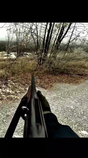 🐇🌲 Охота на кролика в лесу #Охота #Кролик #ОхотаВЛесу #ДикаяПрирода