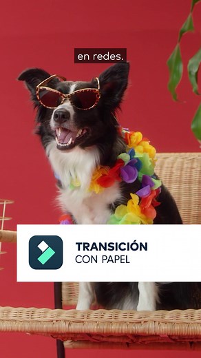 Transición Papel Arrugado para Videos!😎 #transiciones #ideasparavideos #ediciondevideo #editarvideos #Filmora #filmora13 #filmora12 #filmorax #wondersharefilmora Este efecto tendencia de papel arrugado es muy fácil de hacer con las transiciones preestablecidas de Filmora 13. ✅Lleva tus dos videos a Filmora ✅Dale a Transiciones, busca papel arrugado y arrastra el que más te guste en medio de ambos videos ✅Luego en audio, efectos de sonido, también busca