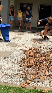 Little Elusive Red Belly in Garden! #snakecatcher #snake #wildlife #r | Wildlife With Stuart Mckenzie