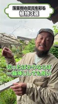 【これで決まり！】植木の足元が寂しい方必見！コレ植えればワンランクアップ！