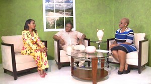 Chairperson of this year's Queen of Carnival Competition, Mr Ckhuerckh Vhann-kellte alongside Deputy Chairperson, Miss Derri-Ann Browne had the opportunity to be interviewed on Antigua Barbuda Today to highlight their plans for the 2019 pageant. Mr Vhann-kellte also took the time to invite young ladies to register for the competition as the registration deadline is fast-approaching. The 2019 Queen of Carnival Competition will be held on Friday 26th July at Carnival City. Video Courtesy: ABS | An