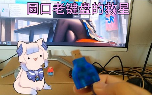 你有一个PS2圆老键盘，但你的主机没有对应的接口，或者接口坏了，怎么办? PS2口键盘不能热插拔怎么办？你想折腾一下转接头儿怎么办？