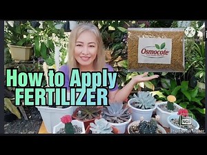 How to Apply Fertilizers to our plants/Osmocote / Gee Channel