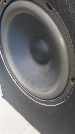 Intex tower bass test