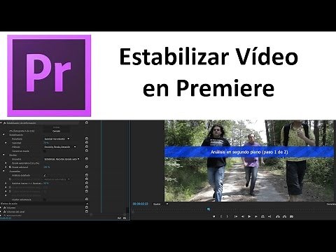 Tutorial: Stabilizing Motion in Premiere Pro