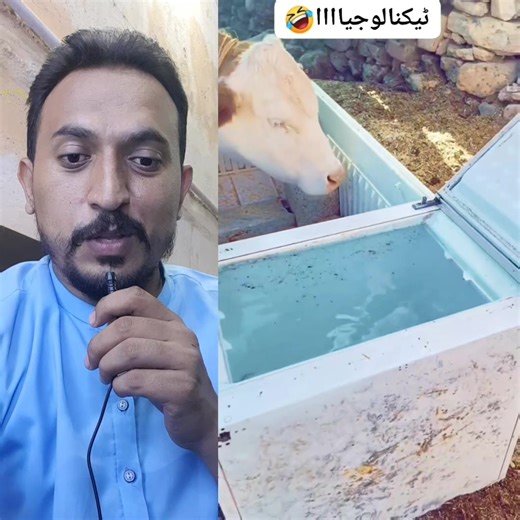 Wow Amazing 🥶😱🤣🤣 | NSH Life Style