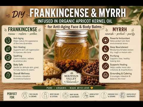 DIY-How to infuse Frankincense-Myrrh-Rosehips In Oil Using Fresh Organic Resin/Herbs