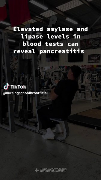 Elevated Amylase and Lipase Levels: Key to Pancreatitis