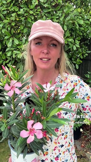 BexEdwards - Gardening on TikTok