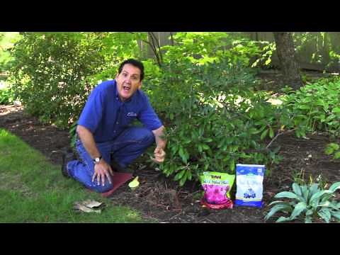 How To and When To Add Soil Acidifier