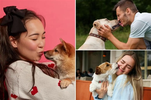 Dream job for dog lovers? Earn $1K per hour to kiss canines and sniff their breath