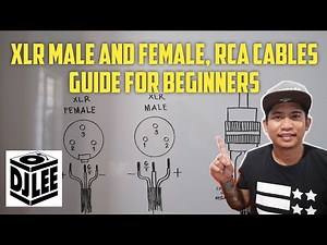 DIY XLR and RCA Connectors, How to Soldering XLR AND RCA