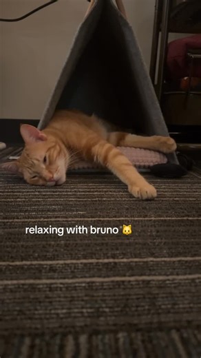 gingy on Instagram: "finally getting into a good routine at school and loving it! @embry_riddle_prescott #goerau #college #study"