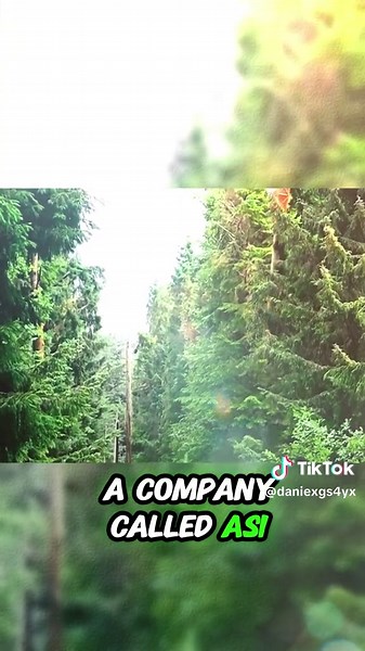 Aerial Saw: Precision Helicopter Tree Trimming Technology