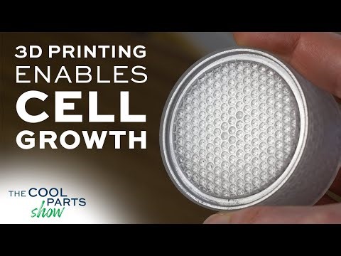 3D Printed Bioreactors Enable Cell Growth | The Cool Parts Show Ep. 70