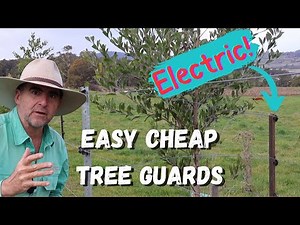 Fast Tip: Use Your Fence as a Tree Guard!