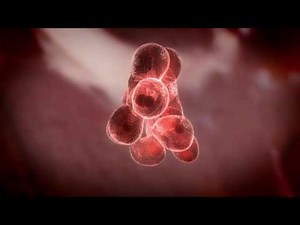 Biotechnology | Future of Everything with Jason Silva | Singularity University