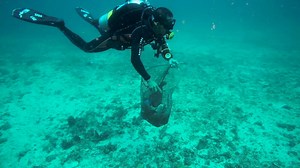 20K views · 311 reactions | What is a 360 education? It's a unique experience for every student. It's going farther and digging deeper than you ever thought possible. Learn more at www.flagler.edu. | Flagler College | Facebook