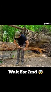 I Found a Secret Room Inside a Tree. #treehouse #secret #room #forest #trending #foryou