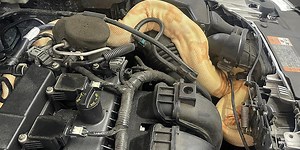 See the 8-foot albino boa constrictor found wrapped around car engine in South Carolina