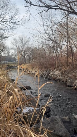 📅 This Week in Murray City Jan 27 • Mayor’s State of the City • 6 pm • Murray Theater (Free tickets; brief program, light refreshments, and “Rhythm of Murray” by the Flashback Brothers — reserve online while supplies last) Jan 28 • Brick Masters • 6:30 pm • Library Jan 30 • Hercules (Movie) • 2:15 pm • Murray Theater • Solstice Celebration (Teen event) • 5 pm • Library • Remember the Titans (Movie) • 5:30 pm • Murray Theater • The Princess Bride (Movie) • 7:45 pm • Murray Theater Feb 1 • Star W