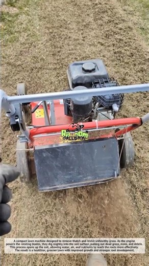 Amazing, This Machine Revives Dead Grass in Minutes! 🌱
