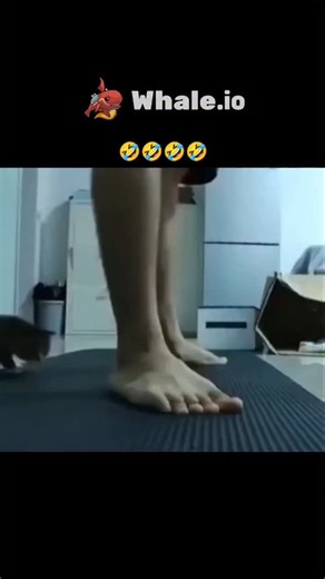 FunLabFactory on Instagram: "This post features a 28-second video montage of a person performing barefoot squats on a gym mat, overlaid with text comparing their "shaky legs" to a tiny gray kitten curiously weaving between their feet, creating a humorous visual pun on vulnerability and clumsiness. Posted by @PunchingCat , an account dedicated to sharing user-submitted cat videos, it has garnered over 36,000 likes and 1.1 million views in two days, highlighting the enduring appeal of cute animal