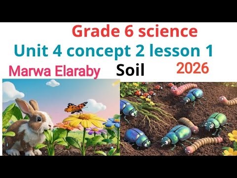 Grade 6 science unit concept 2 lesson 1 soil Marwa Elaraby 2026
