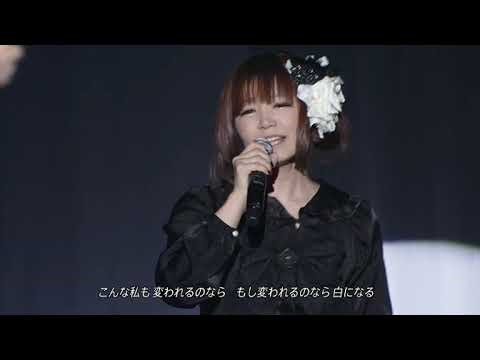 Bad apple concert!!!!!!