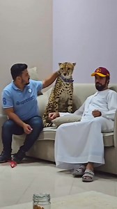 1.2M views · 10K reactions | The history of the camera spans several...