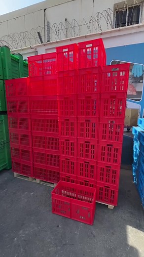 Caisses Port Alvéole Alimentaires - Adaptées à Vos Besoins