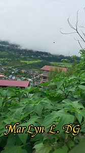 Preskong umaga sa Baguio City. #preskongumaga #baguiocityphilippines #fblifestyle | Marlyn Lagaban De Guzman
