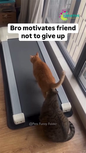 He knocked his toy under the couch, then screamed. | Creative Company