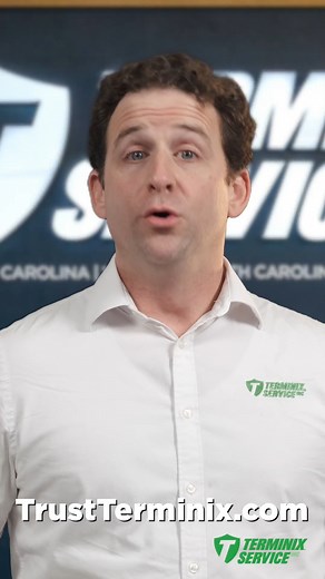 1.5K views · 40 reactions | We are Terminix Service, Inc. We help protect your home and loved ones with expert care and advanced solutions—enjoy peace of mind, pest-free! | Terminix Service, Inc. | Facebook