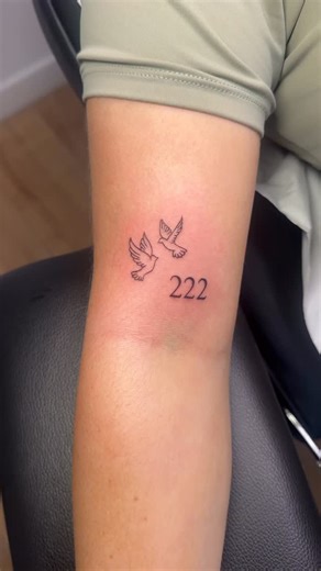 Angel numbers & the cutest doves 🕊️ | By Katie Mckinley