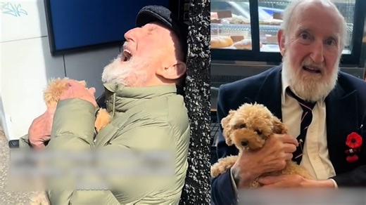 He thought his lonely days would never end. Then this tiny visitor and her kind owner showed up. #WorldKindnessWeek Countdown to #WorldKindnessDay | Akron Beacon Journal