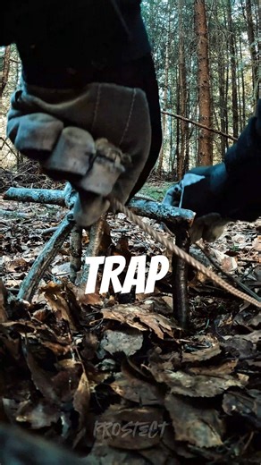 Trap #survival #trap #bushcraft